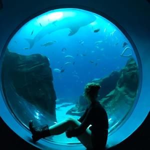 Meet your Posher, Markyn